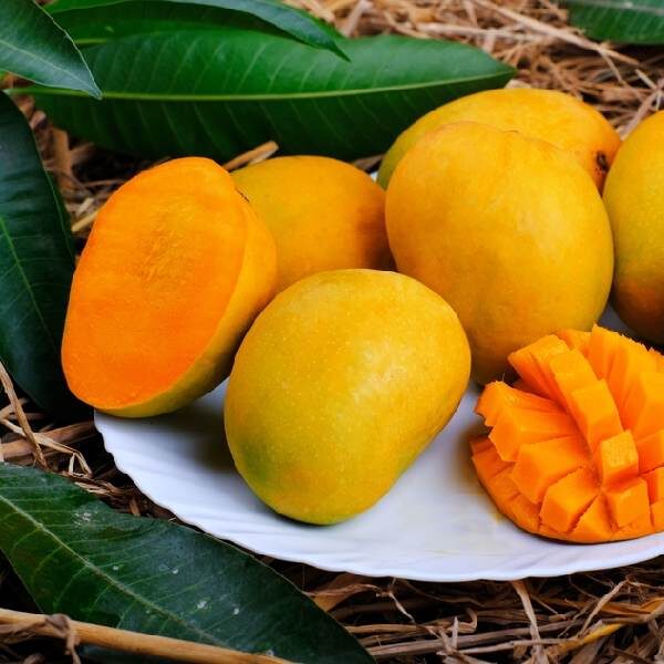 হাঁড়িভাঙ্গা আম ১