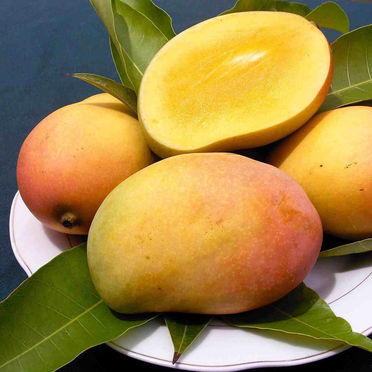 হাঁড়িভাঙ্গা আম ২